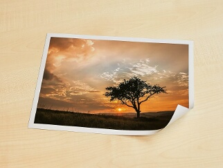 Poster - FineArt Prints