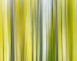 Green Power Erhältlich in folgenden Ausführungen: Passepartout-Bilder: FineArt Prints auf Fotopapier 260g glossy, im Passepartout weiss. Plakate: FineArt Prints auf...
